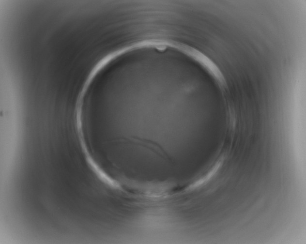 X0000113860958200910011019