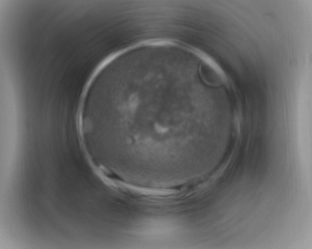 X0000113860959200910011019