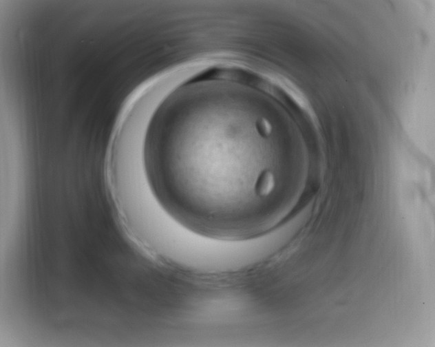X0000113860960200910011019