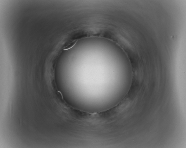 X0000113860961200910011018
