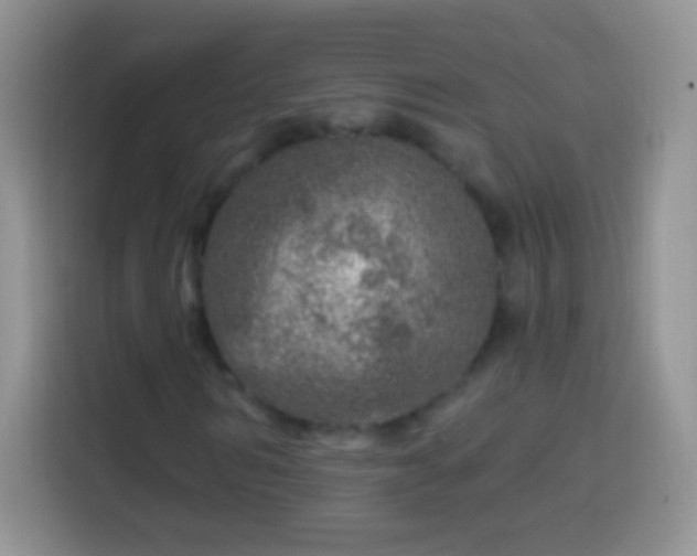 X0000113860962200910011018
