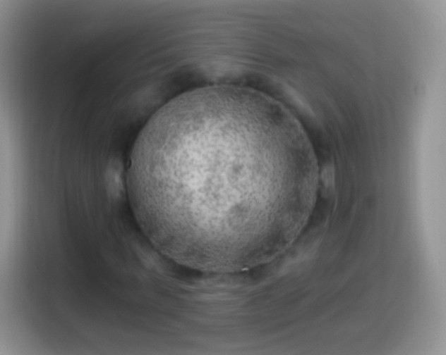 X0000113860963200910011018