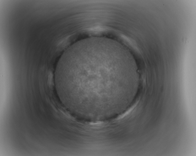 X0000113860964200910011018