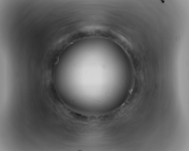 X0000113860965200910011018