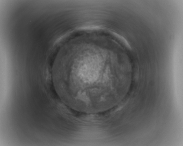 X0000113860966200910011018