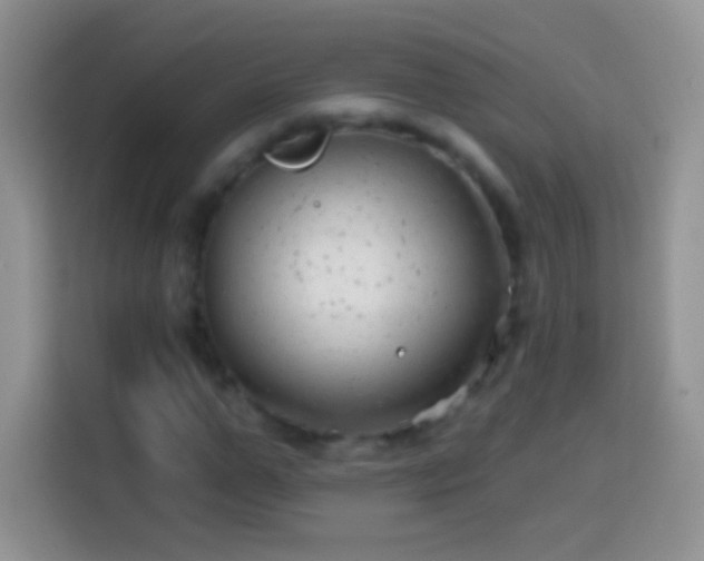 X0000113860967200910011018