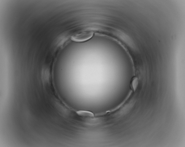 X0000113860969200910011018