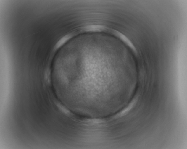 X0000113860970200910011018