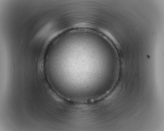 X0000113860971200910011018