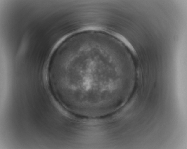 X0000113860972200910011018