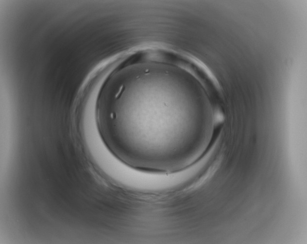 X0000113860973200910011018