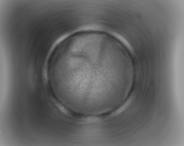X0000113860974200910011018