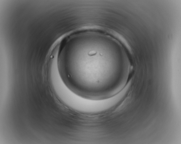 X0000113860975200910011018