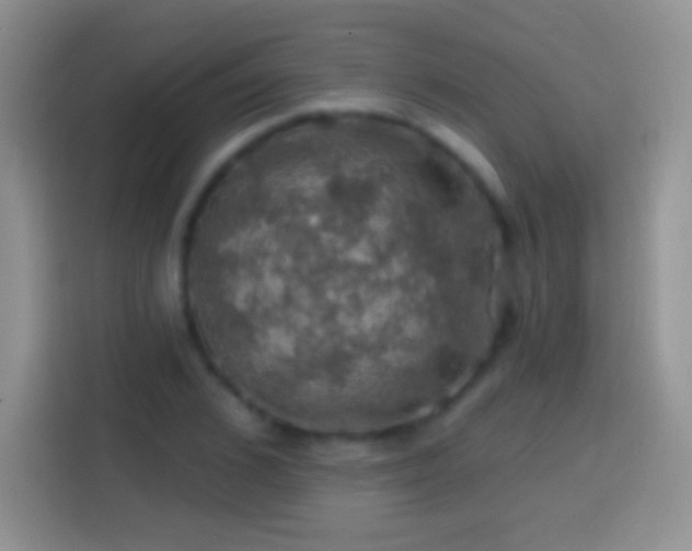 X0000113860976200910011018