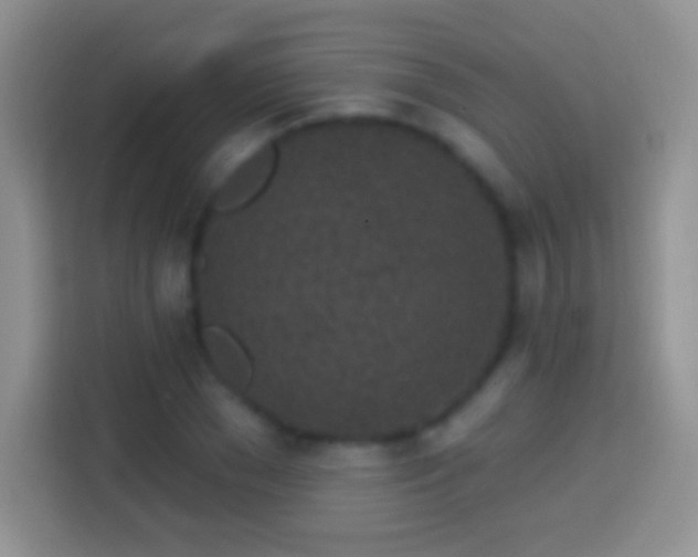 X0000113860977200910011018