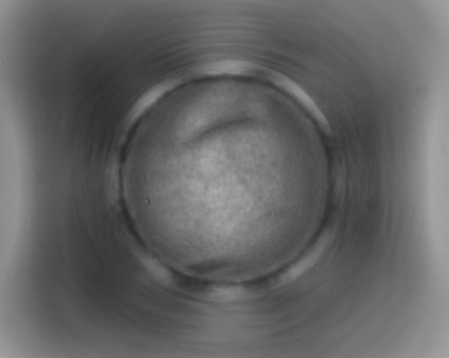X0000113860978200910011018