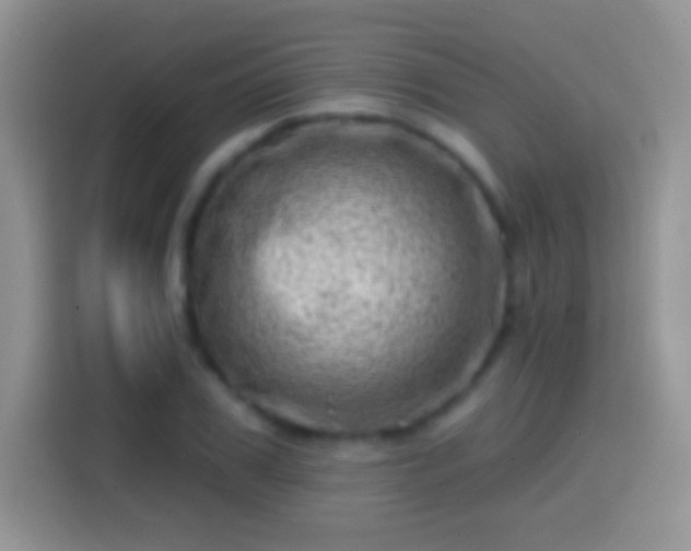 X0000113860979200910011018