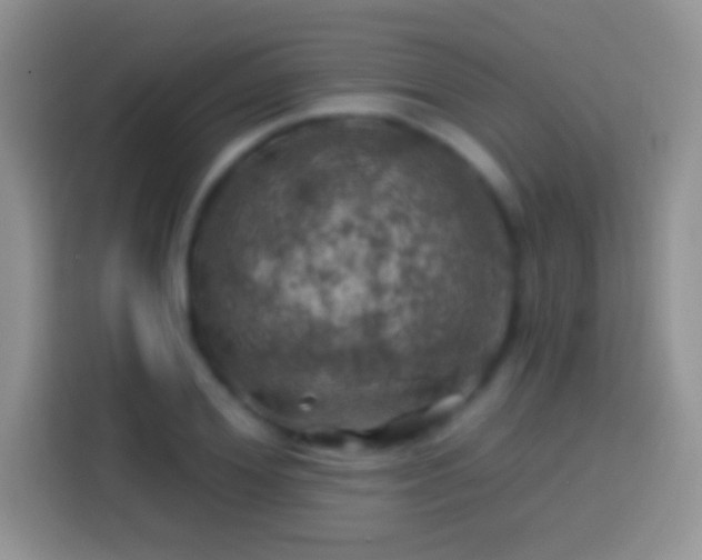 X0000113860980200910011018