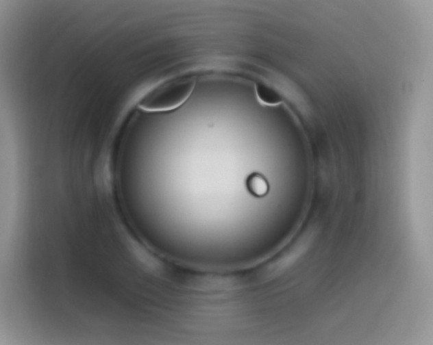 X0000113860981200910011018