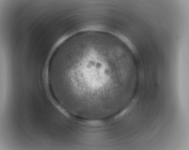 X0000113860982200910011018