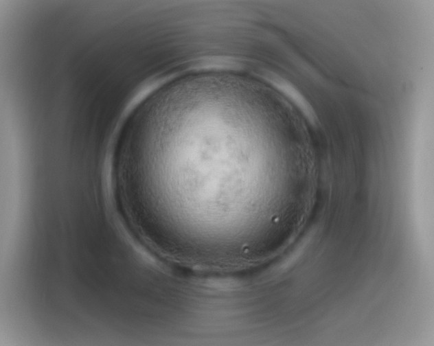 X0000113860983200910011018
