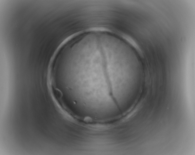 X0000113860984200910011018