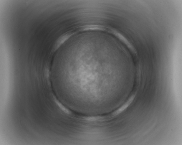 X0000113860985200910011018