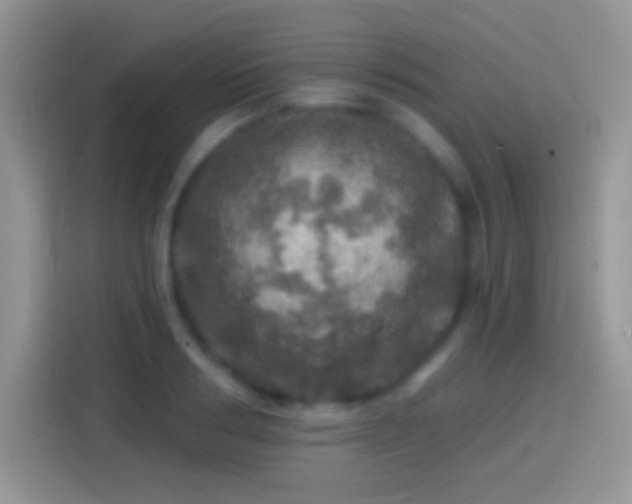 X0000113860986200910011018