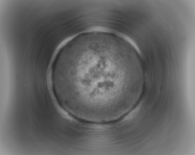 X0000113860987200910011018