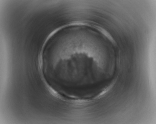 X0000113860988200910011018