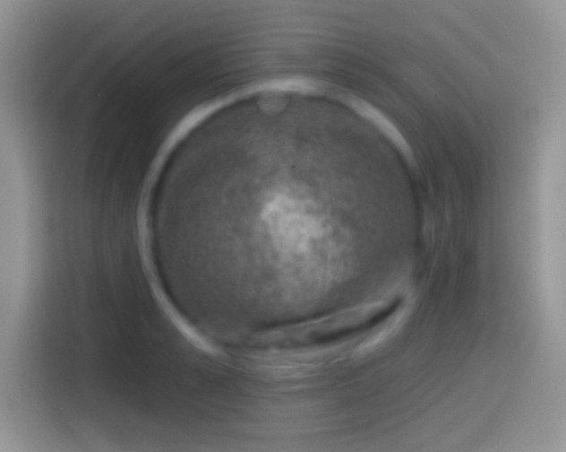 X0000113860989200910011018