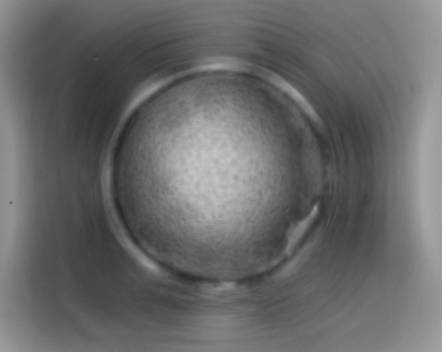 X0000113860991200910011018