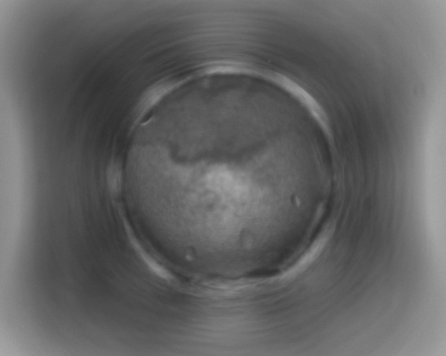 X0000113860993200910011018