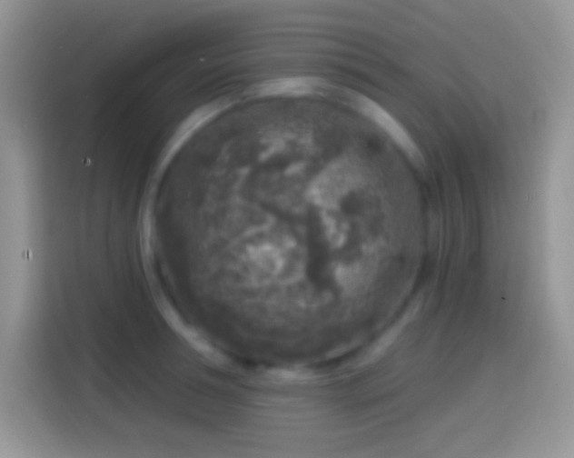 X0000113860994200910011018