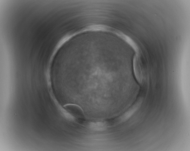 X0000113860997200910011018