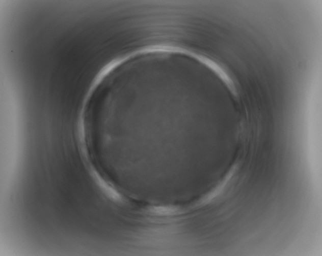 X0000113860998200910011018