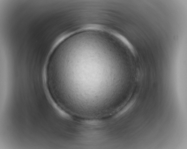 X0000113860999200910011018