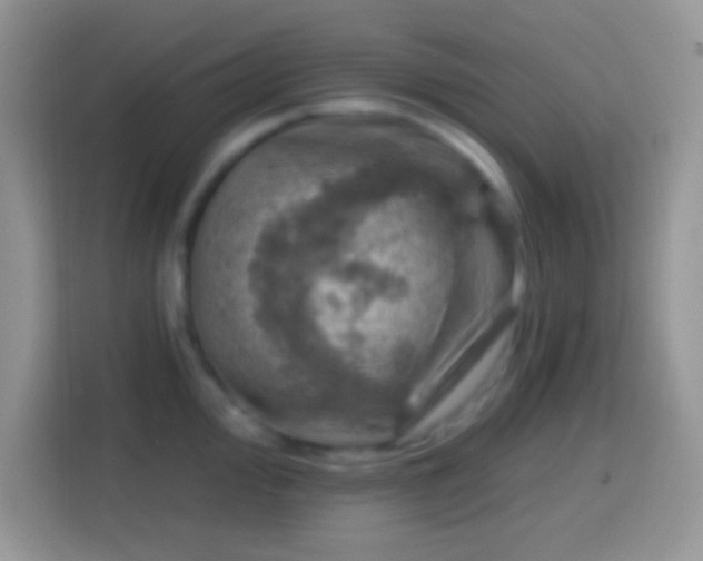 X0000113861000200910011017