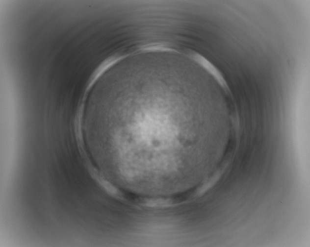 X0000113861002200910011017