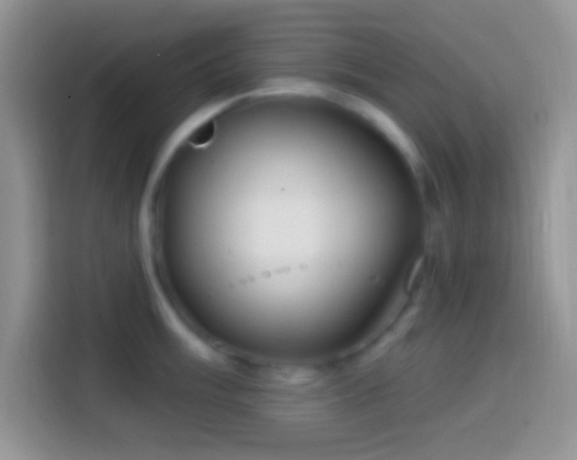 X0000113861003200910011017
