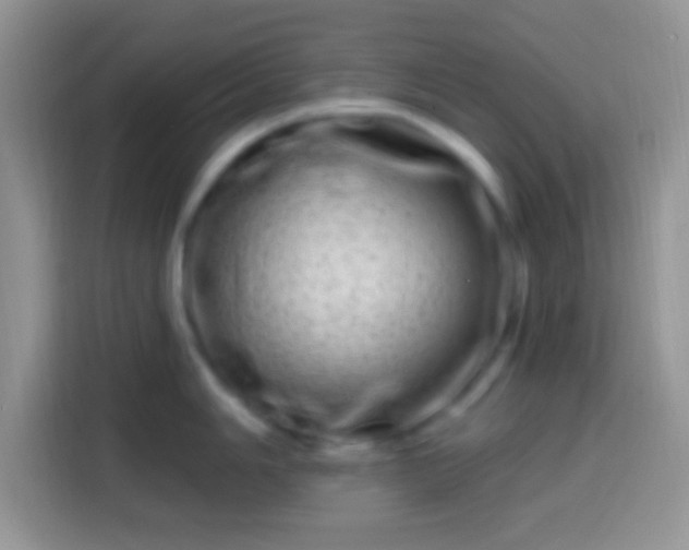 X0000113861006200910011017