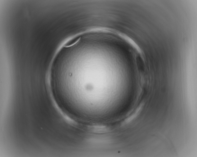 X0000113861007200910011017