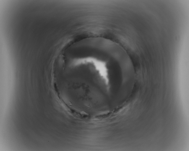 X0000113861009200910011017