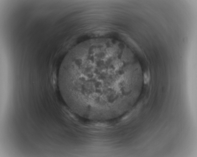 X0000113861011200910011017