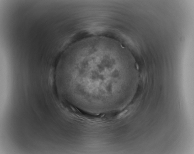 X0000113861012200910011017