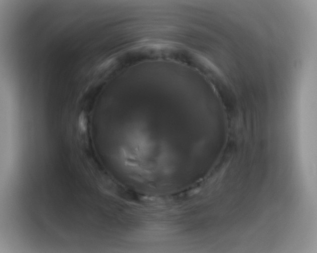 X0000113861013200910011017