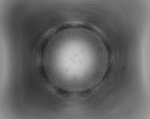 X0000113861014200910011017