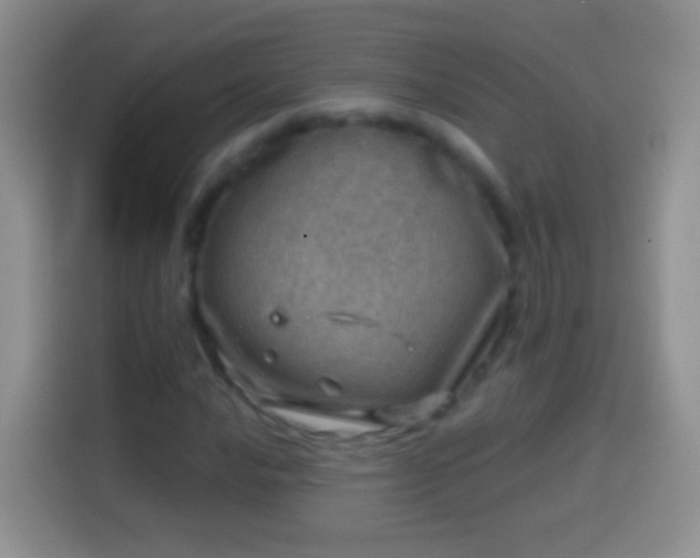 X0000113861016200910011017
