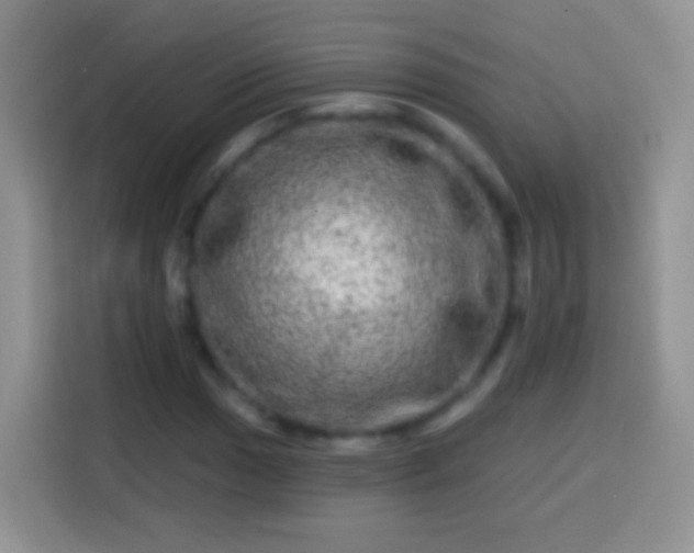 X0000113861017200910011017