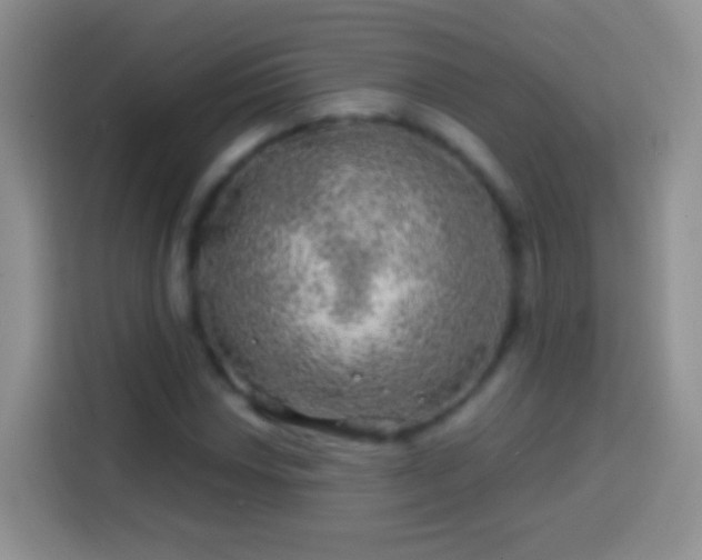 X0000113861018200910011017
